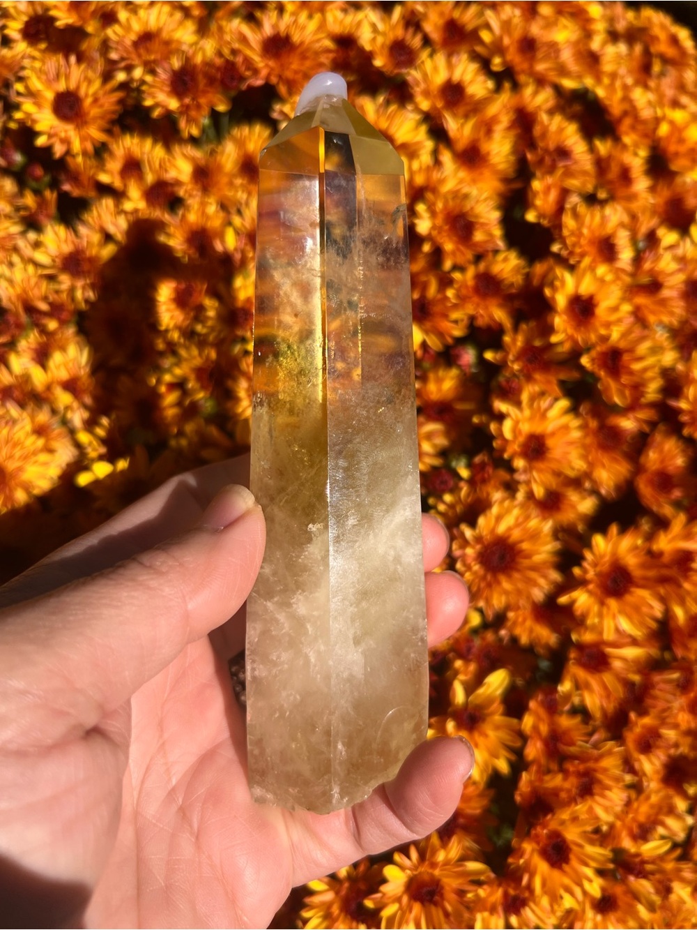 Red (1) needles citrine point with custom light stand | Crystal